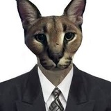 Telegram profile photo for SodiumMods