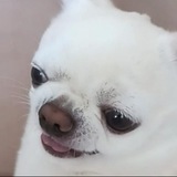 Telegram profile photo for Art в теме