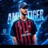Telegram profile photo for amir tiger