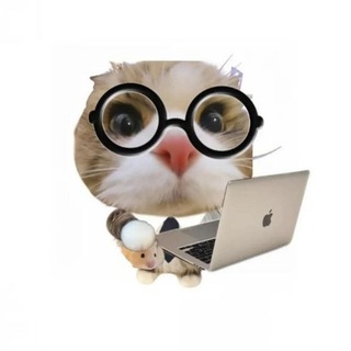 Telegram profile photo for Fypbox
