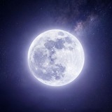 Telegram profile photo for | خوابْگَرد |