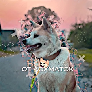 Telegram group profile photo for вз от лохматок