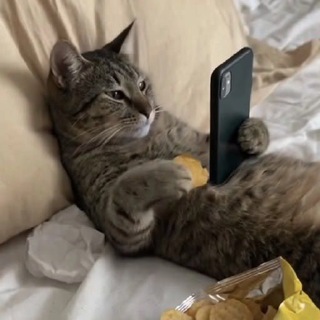 Telegram profile photo for Λⲉⲏⲧⲁ ⲡυⲏⲧⲉⲣⲉⲥⲧⲁ
