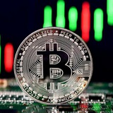Telegram profile photo for Telegram Crypto Signals