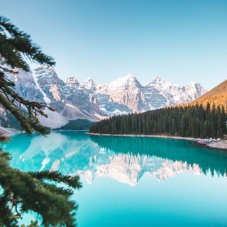 Telegram group profile photo for Peace of mind