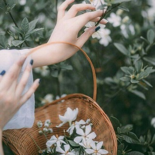 Telegram profile photo for زَهُر اليَاسَمين🤍🌿
