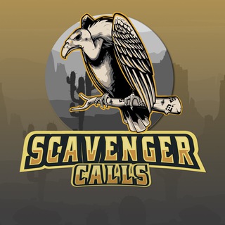 Telegram profile photo for Scavenger Calls π² Collab: @anoma1yCSG