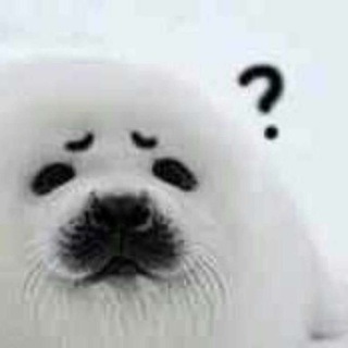 Telegram profile photo for Seal_las