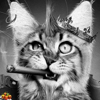 Telegram profile photo for Смехалыч одобрил