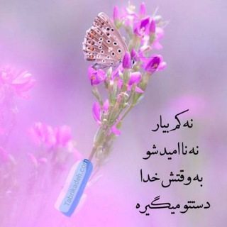 Telegram profile photo for موثرترین روش به آرامش رسیدن،خودساختکی،جذب ثروت وآرامش