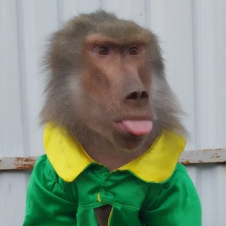 Telegram profile photo for МанкиБлог🐒