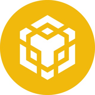 Telegram profile photo for BNB Price - قیمت بایننسکوین