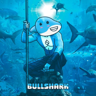 Telegram profile photo for BullShark BuyBot Data