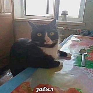 Telegram profile photo for не-библиотека папы Ди