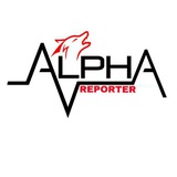 Telegram profile photo for Report to telegram
