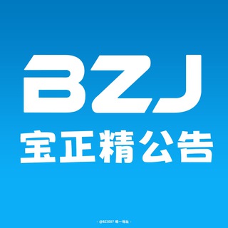 Telegram profile photo for 宝正精【出海公告】