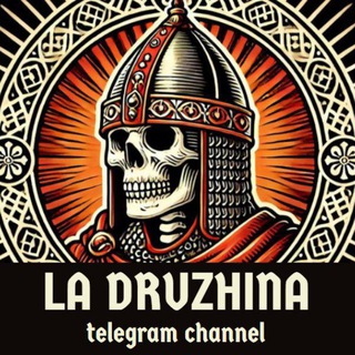 Telegram profile photo for La Druzhina 🇷🇺 🛡