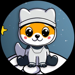 Telegram profile photo for Baby Moon Floki Announcements