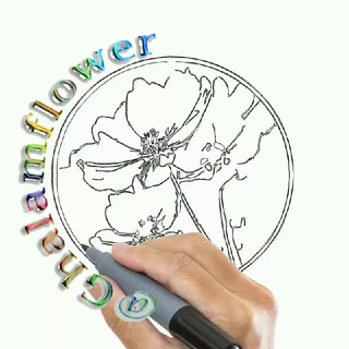 Telegram profile photo for اسم متحرک