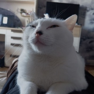 Telegram profile photo for стэньте роккуго