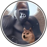 Telegram profile photo for KABOSU