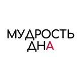 Telegram profile photo for мудрость дна