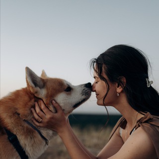 Telegram profile photo for Надежда на кинолога