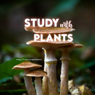 Telegram profile photo for Study With Plants 🌱