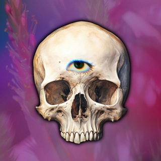 Telegram profile photo for 𝖘𝖍𝖆𝖉𝖔𝖜𝖇𝖆𝖇𝖊𝖘