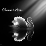 Telegram profile photo for SONMUS ATELIER.