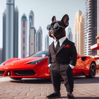 Telegram profile photo for Frenchbull Invest