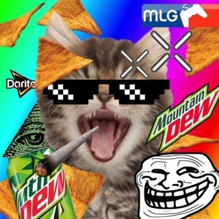 Telegram profile photo for сольница