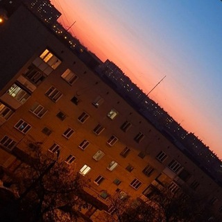 Telegram profile photo for ...