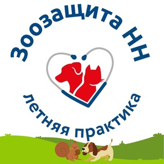 Telegram group profile photo for Открытые уроки с Зоозащитой НН