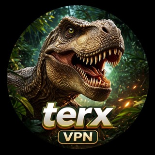 Telegram profile photo for TERX VPN🚀