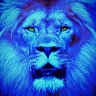 Telegram profile photo for Blue Lion Musings