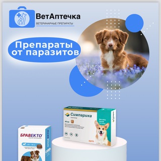 Telegram profile photo for ВЕТАПТЕЧКА.Veterinary pet store Бра-векто/Симпарика