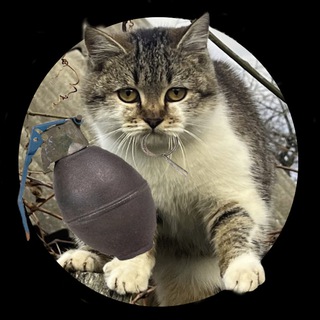 Telegram profile photo for Меми та всяке від ioretcio | ✙