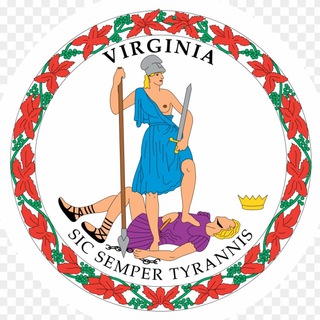 Telegram profile photo for Virginia Audit Channel