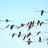 Telegram profile photo for Destination-Karakalpakstan