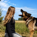 Telegram profile photo for Немецкие корни