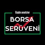 Telegram profile photo for BORSA SERÜVENİ