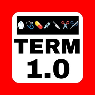 Telegram profile photo for TERM 1.0