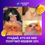 Telegram profile photo for Fonbet By casino