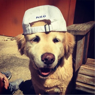 Telegram profile photo for YUNG MK