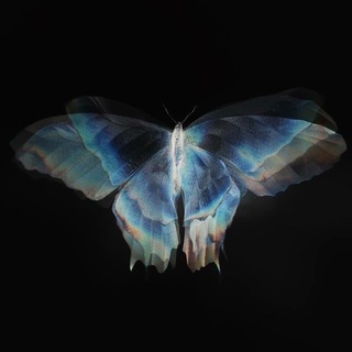 Telegram profile photo for music lullaby