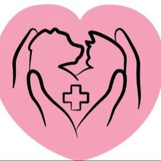 Telegram profile photo for Стерилизация и Забота