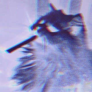 Telegram profile photo for lowlighted // 000-01