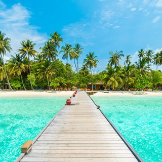Telegram profile photo for Travel Destinations (TimeBucks.com)