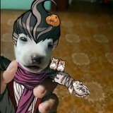 Telegram profile photo for Гав гав